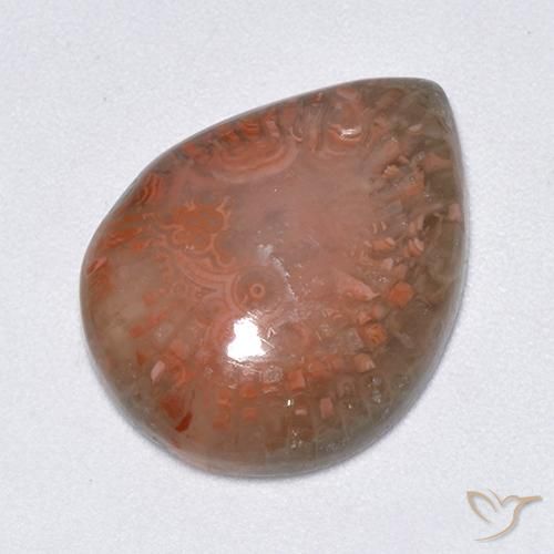 9.51ct Natural Multicolor Coral, En forma de pera, Translúcido