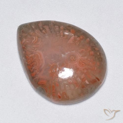 Coral Multicolor natural de 9.51 ct, En forma de pera, Translúcido