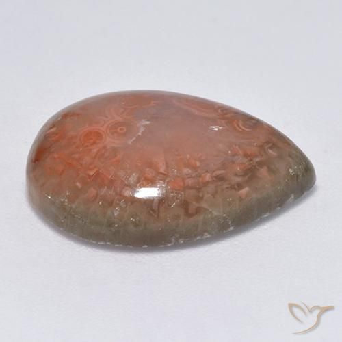 Coral Multicolor natural de 9.51 ct, En forma de pera, Translúcido