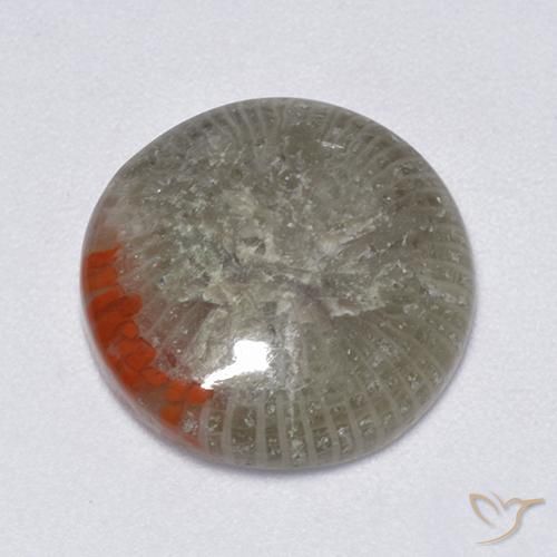 Coral Multicolor natural de 6.25 ct, Redondo, Translúcido