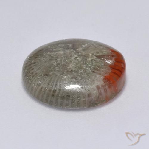 Coral Multicolor natural de 6.25 ct, Redondo, Translúcido