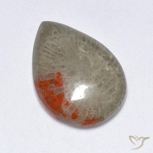 10.40ct Natural Multicolor Coral, En forma de pera, Translúcido
