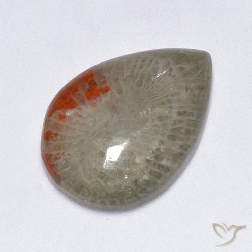 Coral Multicolor natural de 10.40 ct, En forma de pera, Translúcido