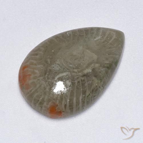 5.79ct Natural Multicolor Coral, En forma de pera, Translúcido