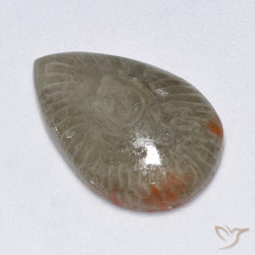 Coral Multicolor natural de 5.79 ct, En forma de pera, Translúcido