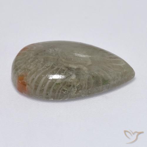 Coral Multicolor natural de 5.79 ct, En forma de pera, Translúcido