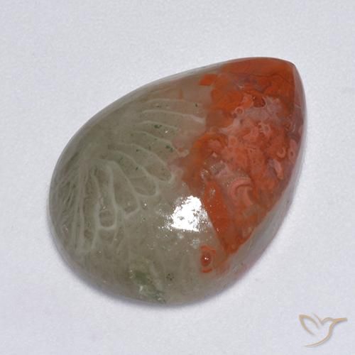 8.14ct Natural Multicolor Coral, En forma de pera, Translúcido