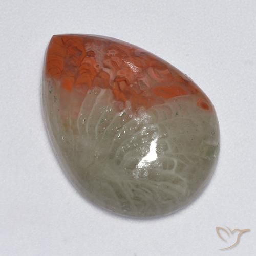 Coral Multicolor natural de 8.14 ct, En forma de pera, Translúcido