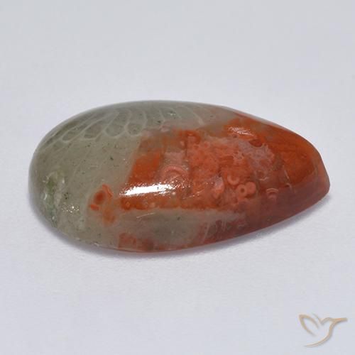 Coral Multicolor natural de 8.14 ct, En forma de pera, Translúcido