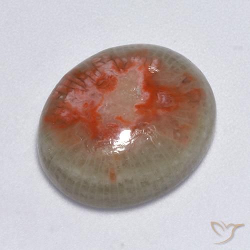7.75ct Natural Multicolor Coral, Ovalada, Translúcido