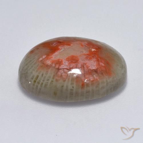 Coral Multicolor natural de 7.75 ct, Ovalada, Translúcido