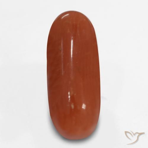 2.47ct Natural Rojo fuego Coral, Ovalada, Opaco, Photo A