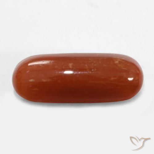 Coral Rojo fuego natural de 2.47 ct, Ovalada, Opaco