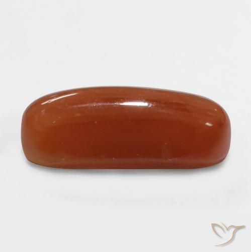 Coral Rojo fuego natural de 2.47 ct, Ovalada, Opaco