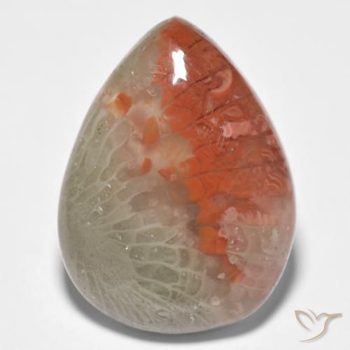 10.86ct Natural Multicolor Coral, En forma de pera, Translúcido