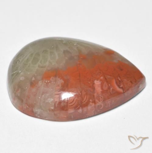 Coral Multicolor natural de 10.86 ct, En forma de pera, Translúcido