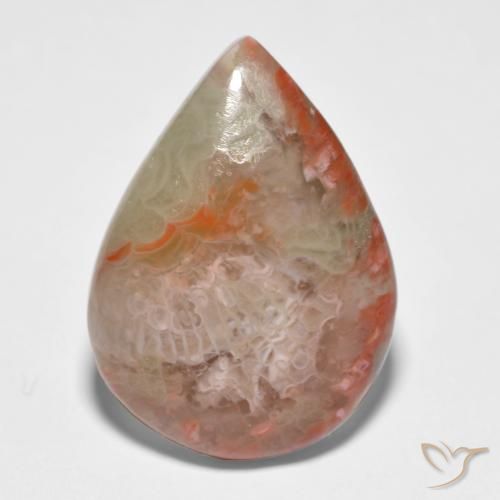 11.65ct Natural Multicolor Coral, En forma de pera, Translúcido