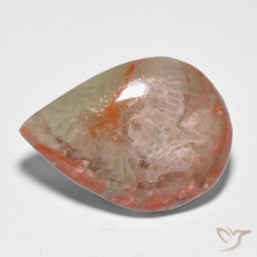 Coral Multicolor natural de 11.65 ct, En forma de pera, Translúcido
