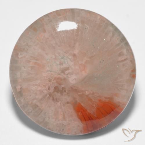 11.09ct Natural Multicolor Coral, Redondo, Translúcido