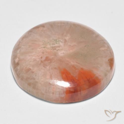 Coral Multicolor natural de 11.09 ct, Redondo, Translúcido