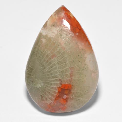 Coral multicolor natural de 15,90 ct, en forma de pera, translúcido