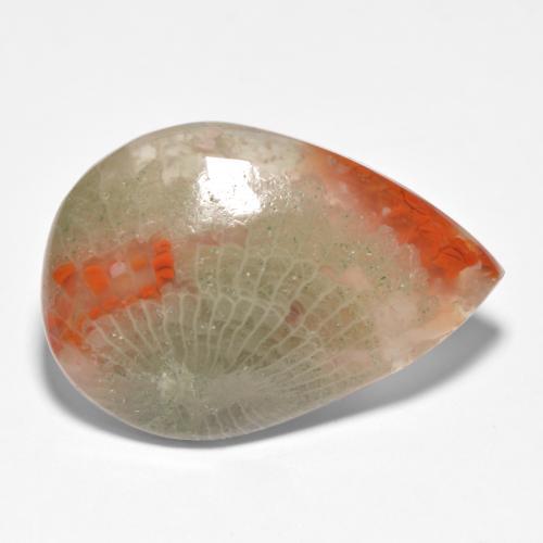 Coral multicolor natural de 15,90 ct, en forma de pera, translúcido