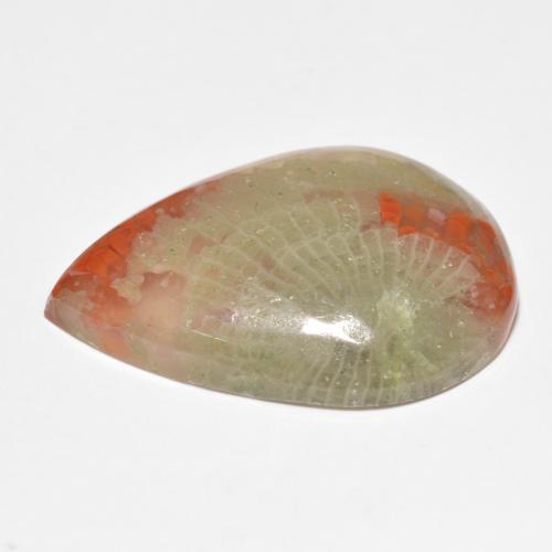 Coral multicolor natural de 15,90 ct, en forma de pera, translúcido