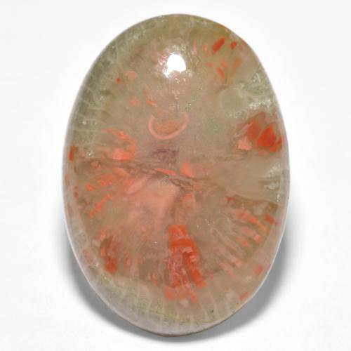 Coral multicolor natural de 10,04 ct, corte óvalo, translúcido