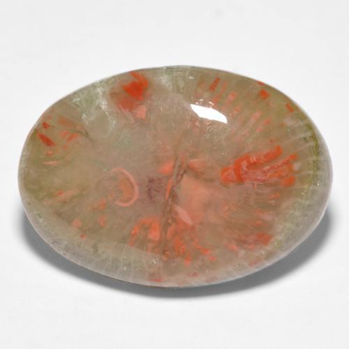Coral multicolor natural de 10,04 ct, corte óvalo, translúcido