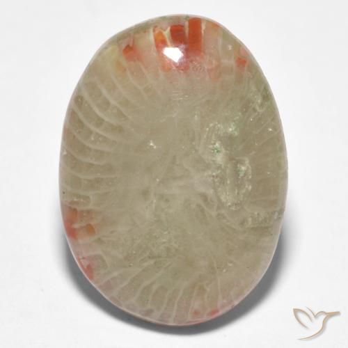 8.81ct Natural Multicolor Coral, Ovalada, Translúcido