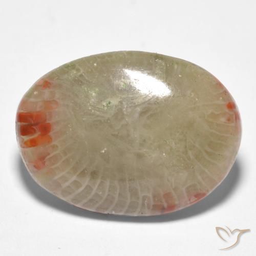 Coral Multicolor natural de 8.81 ct, Ovalada, Translúcido