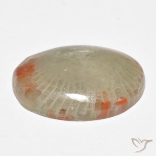 Coral Multicolor natural de 8.81 ct, Ovalada, Translúcido