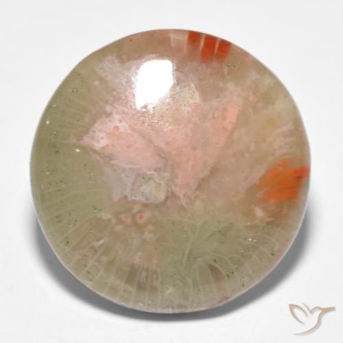 11.91ct Natural Multicolor Coral, Redondo, Translúcido