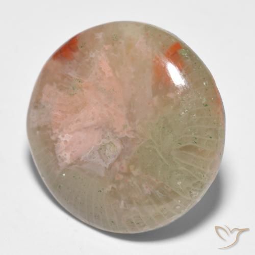 Coral Multicolor natural de 11.91 ct, Redondo, Translúcido