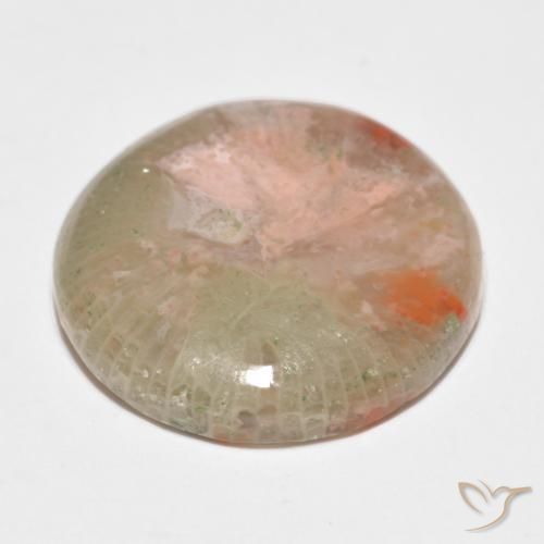 Coral Multicolor natural de 11.91 ct, Redondo, Translúcido