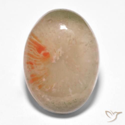 10.34ct Natural Multicolor Coral, Ovalada, Translúcido, Photo A