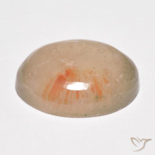 Coral Multicolor natural de 10.34 ct, Ovalada, Translúcido