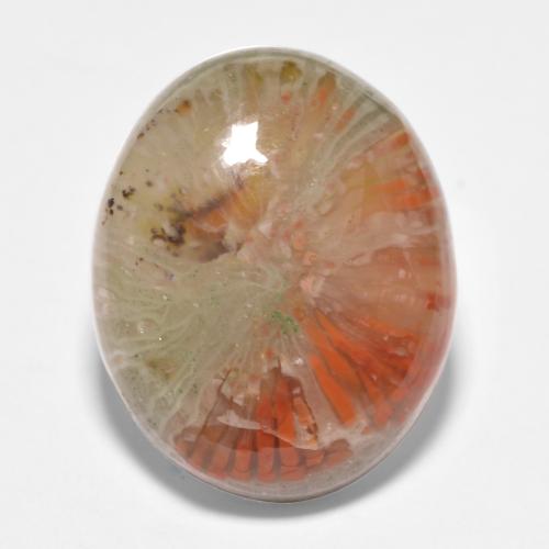 Coral multicolor natural de 11,35 ct, corte óvalo, translúcido