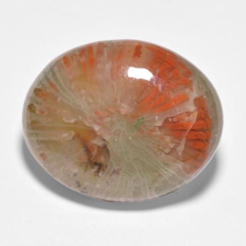 Coral multicolor natural de 11,35 ct, corte óvalo, translúcido