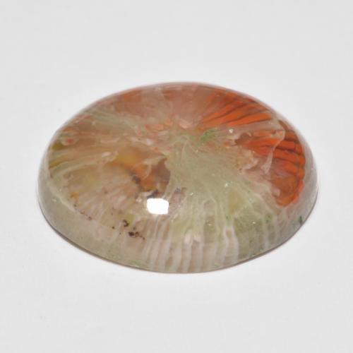 Coral multicolor natural de 11,35 ct, corte óvalo, translúcido
