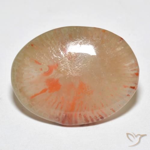 Coral Multicolor natural de 9.95 ct, Ovalada, Translúcido