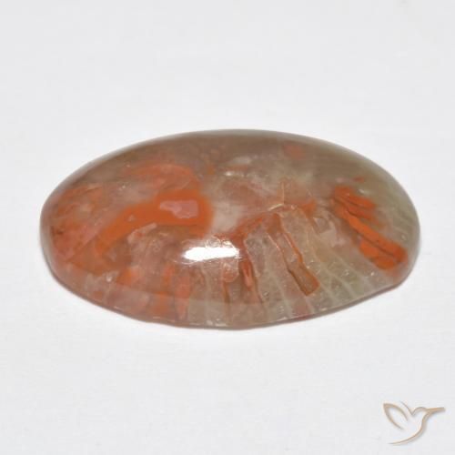 Coral Multicolor natural de 8.18 ct, Ovalada, Translúcido