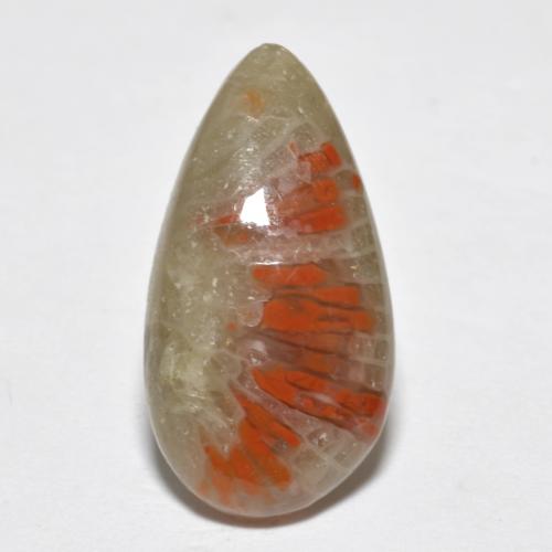 Coral multicolor natural de 4,62 ct, en forma de pera, translúcido