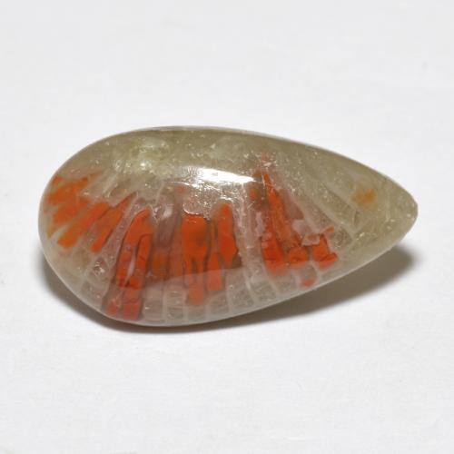 Coral multicolor natural de 4,62 ct, en forma de pera, translúcido