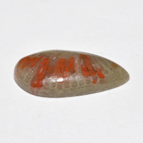 Coral multicolor natural de 4,62 ct, en forma de pera, translúcido