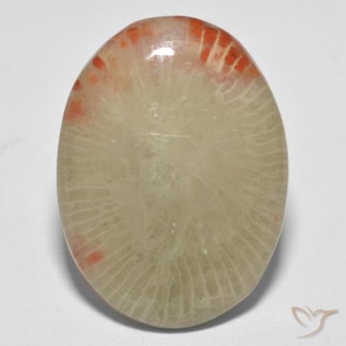 13.10ct Natural Multicolor Coral, Ovalada, Translúcido