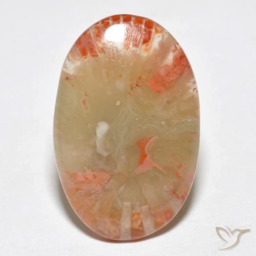 6.23ct Natural Multicolor Coral, Ovalada, Translúcido