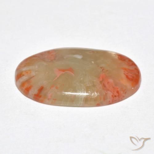 Coral Multicolor natural de 6.23 ct, Ovalada, Translúcido