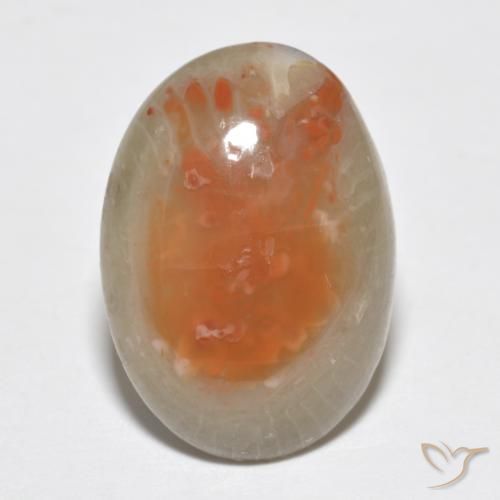 7.46ct Natural Multicolor Coral, Ovalada, Translúcido