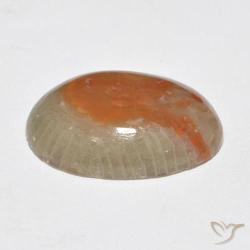 Coral Multicolor natural de 7.46 ct, Ovalada, Translúcido
